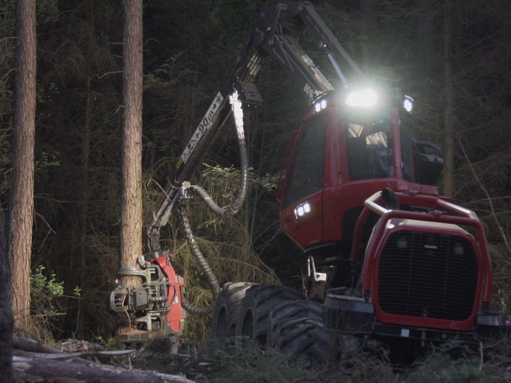 LAZER LAMPS UTILITY-80