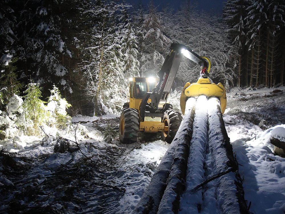 LAZER LAMPS UTILITY-45